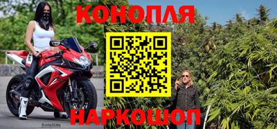 прущие грибы Можайск