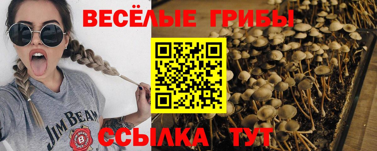 Петровск  купить закладку  Вход с VPN  Галлюциногенные грибы MAGIC MUSHROOMS  Псилоцибиновые грибы MAGIC MUSHROOMS 